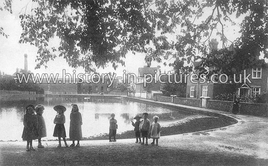 Doctor's Pond, Dunmow, Essex. c.1912